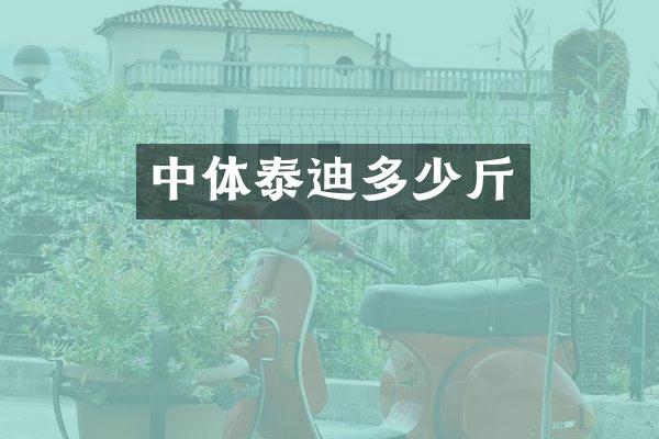 中体泰迪多少斤