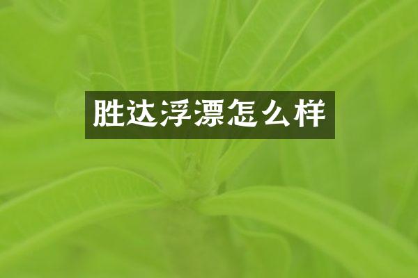 胜达浮漂怎么样