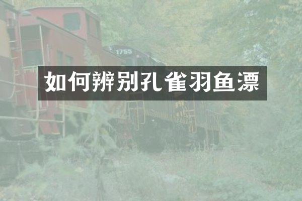 如何辨别孔雀羽鱼漂