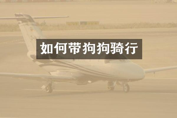 如何带狗狗骑行