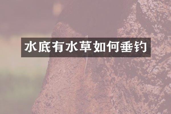 水底有水草如何垂钓