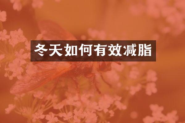 冬天如何有效减脂