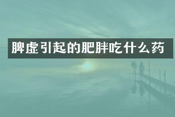 脾虚引起的肥胖吃什么药