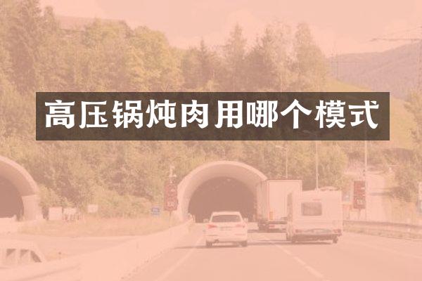 高压锅炖肉用哪个模式