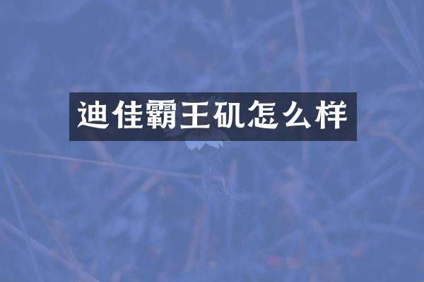 迪佳霸王矶怎么样