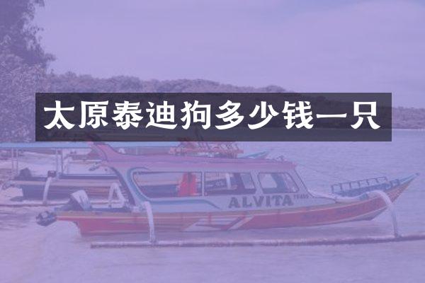 太原泰迪狗多少钱一只