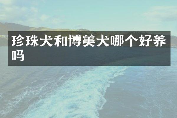 珍珠犬和博美犬哪个好养吗