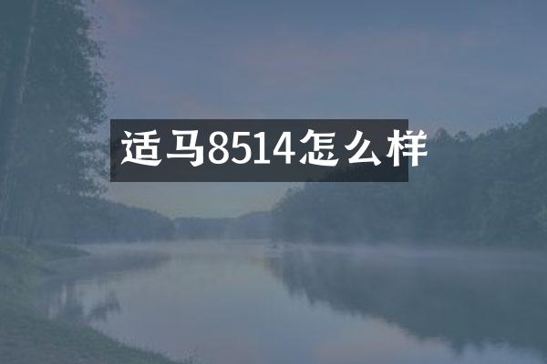 适马8514怎么样