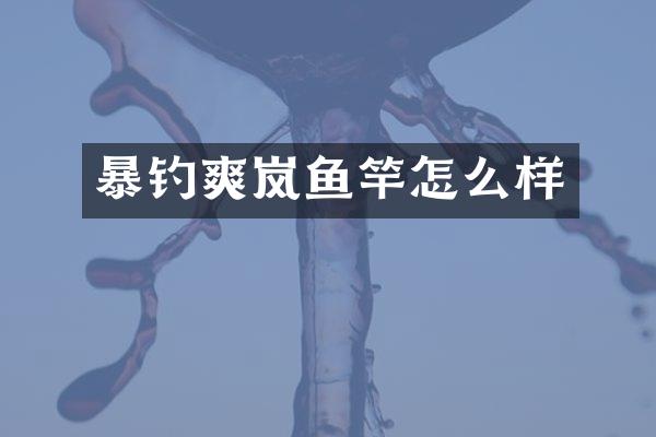 暴钓爽岚鱼竿怎么样