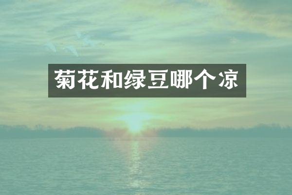 菊花和绿豆哪个凉