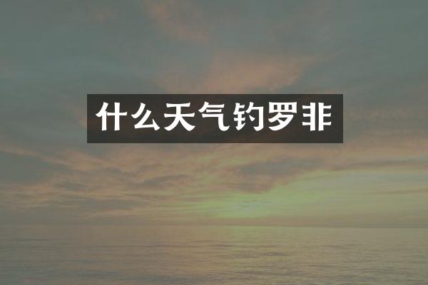 什么天气钓罗非