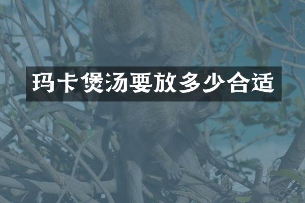 玛卡煲汤要放多少合适