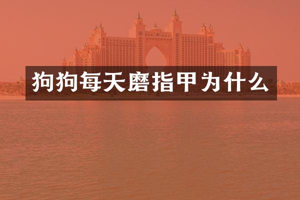 狗狗每天磨指甲为什么