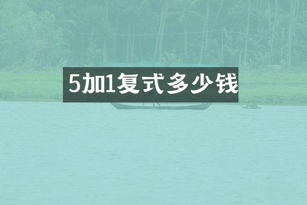 5加1复式多少钱