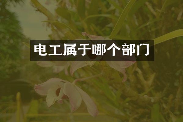 电工属于哪个部门