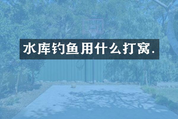 水库钓鱼用什么打窝.