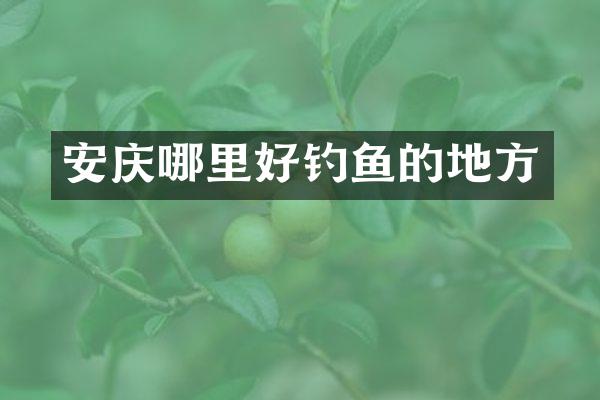 安庆哪里好钓鱼的地方
