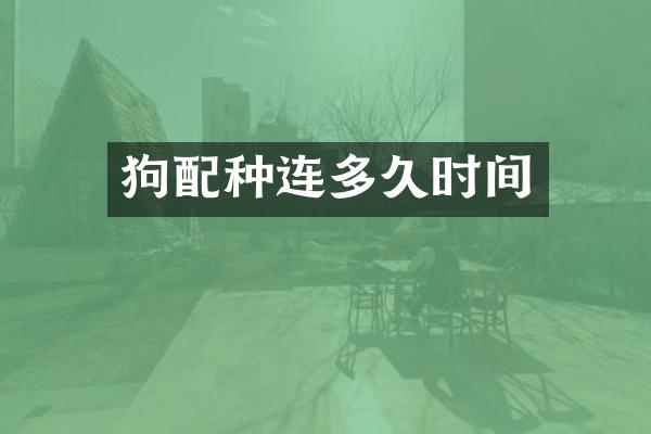 狗配种连多久时间