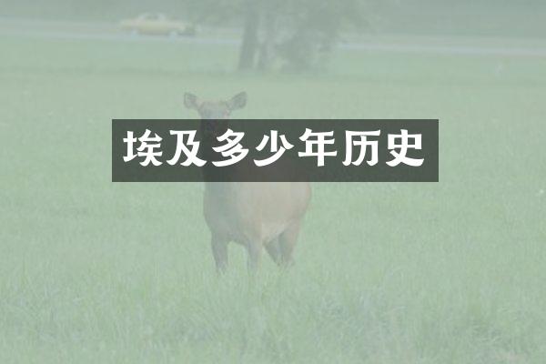 埃及多少年历史