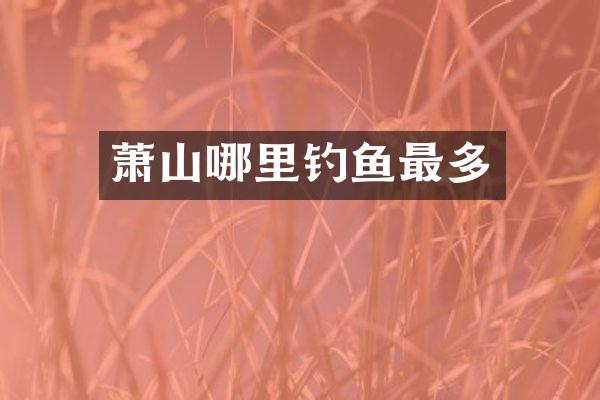 萧山哪里钓鱼最多