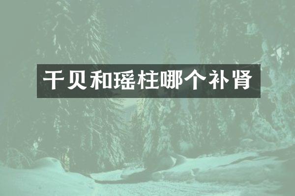 干贝和瑶柱哪个补肾