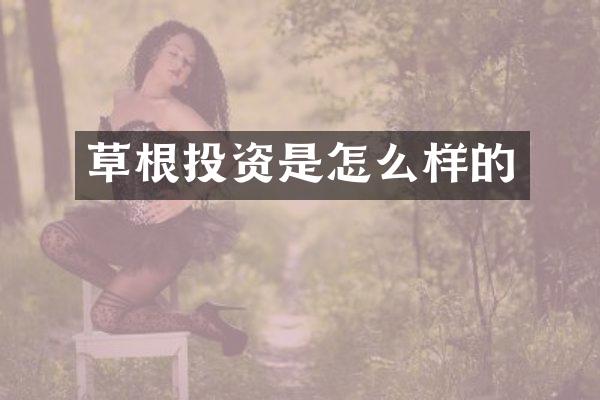 草根投资是怎么样的