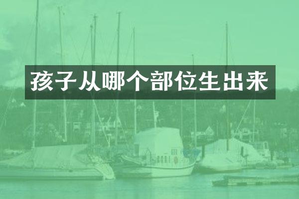 孩子从哪个部位生出来