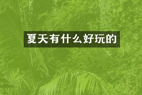 夏天有什么好玩的