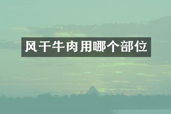 风干牛肉用哪个部位