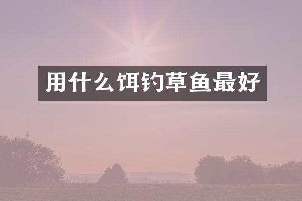 用什么饵钓草鱼最好