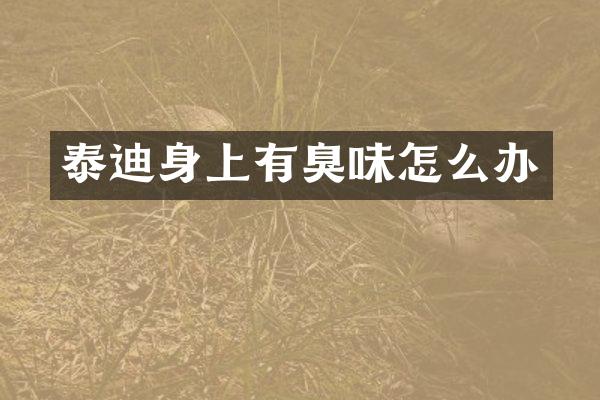 泰迪身上有臭味怎么办