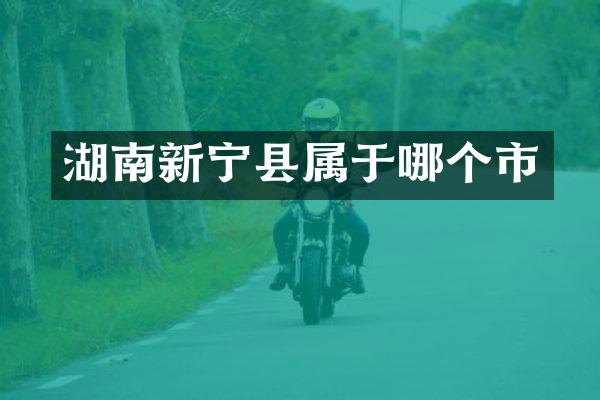 湖南新宁县属于哪个市