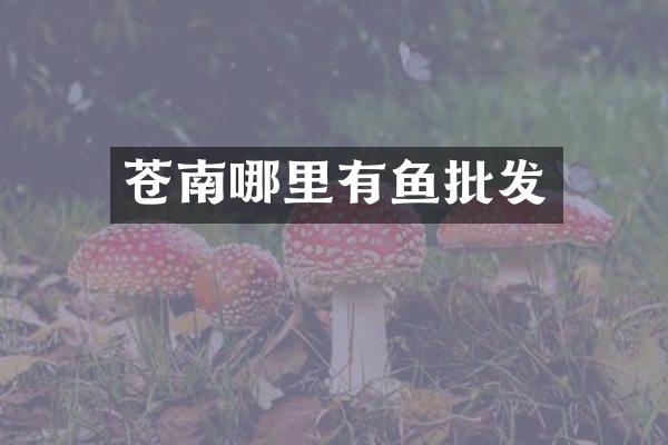 苍南哪里有鱼批发