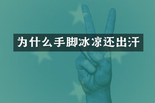 为什么手脚冰凉还出汗
