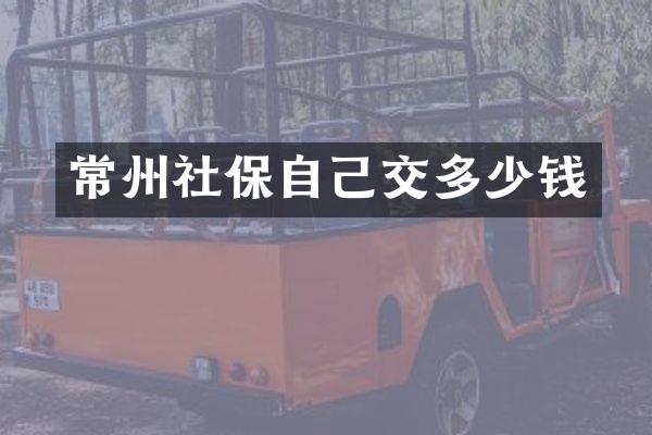 常州社保自己交多少钱