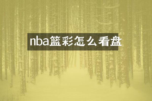 nba篮彩怎么看盘