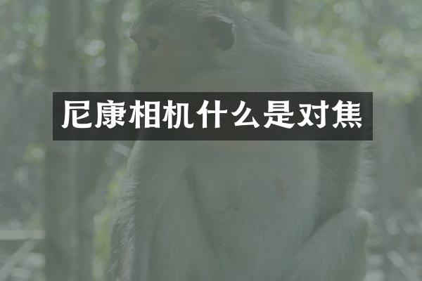 尼康相机什么是对焦