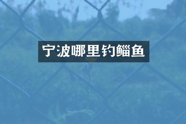 宁波哪里钓鲻鱼
