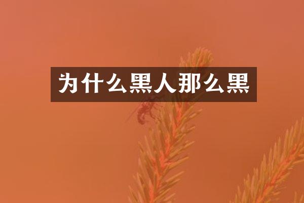 为什么黑人那么黑
