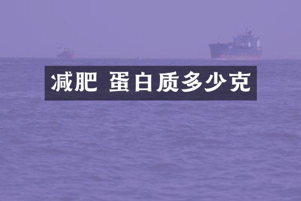 减肥 蛋白质多少克