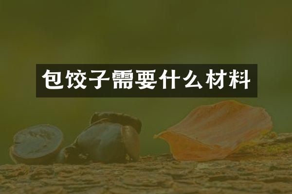 包饺子需要什么材料