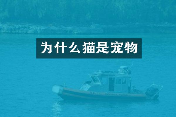 为什么猫是宠物