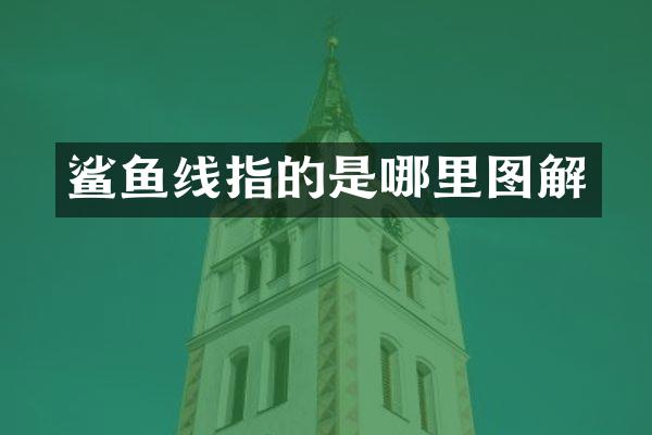 鲨鱼线指的是哪里图解