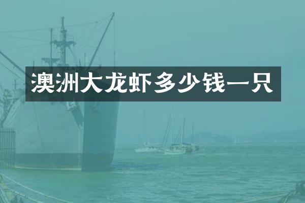 澳洲大龙虾多少钱一只