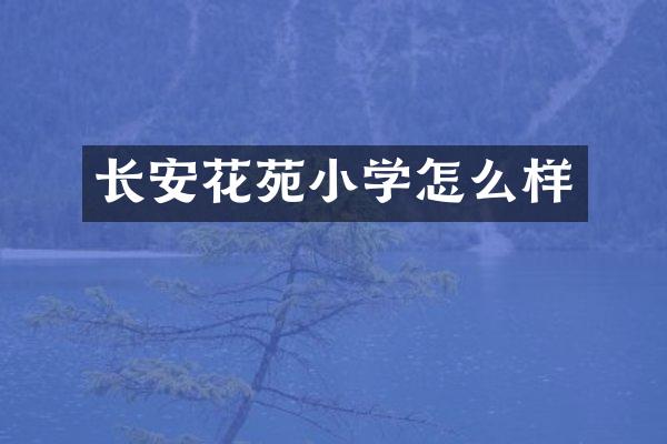 长安花苑小学怎么样