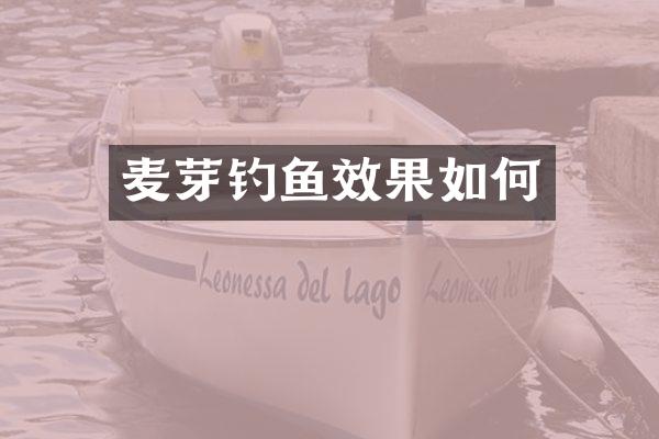麦芽钓鱼效果如何