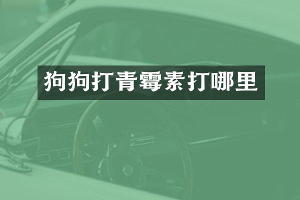 狗狗打青霉素打哪里