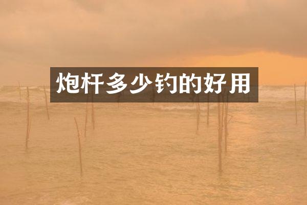 炮杆多少钓的好用