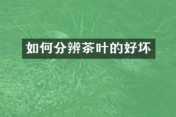 如何分辨茶叶的好坏