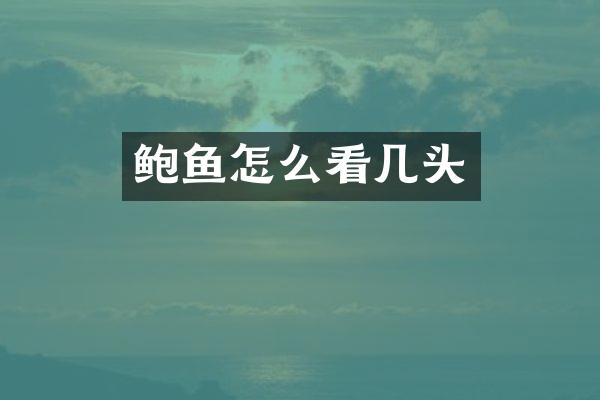 鲍鱼怎么看几头